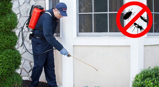 Kale Akrep İlaçlama böcek ilaçlama ve haşere kontrolü — ilaclama-tr.com